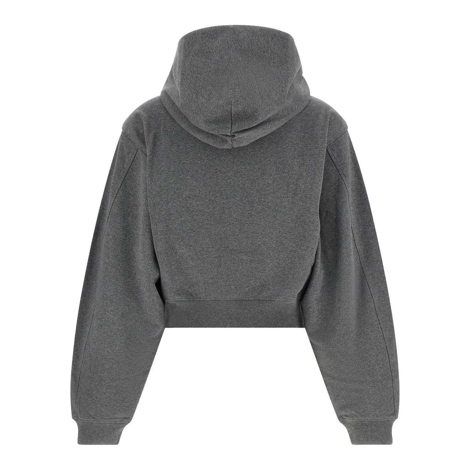 Alexander Wang Gray Cotton Sweatshirt