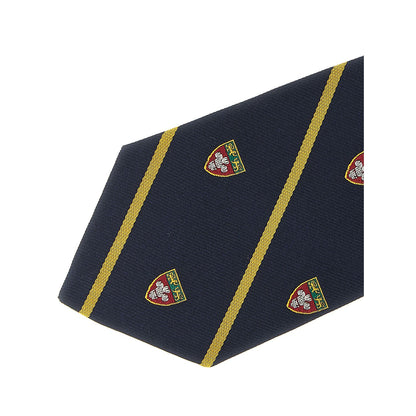 Polo Ralph Lauren Blue Silk Tie