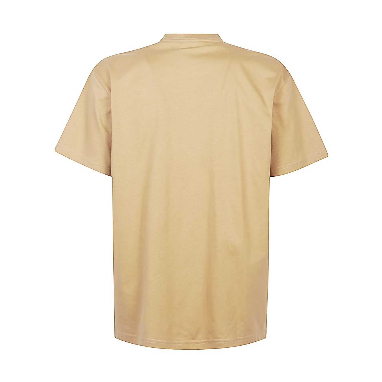 CARHARTT WIP PRE T-shirts and Polos Brown