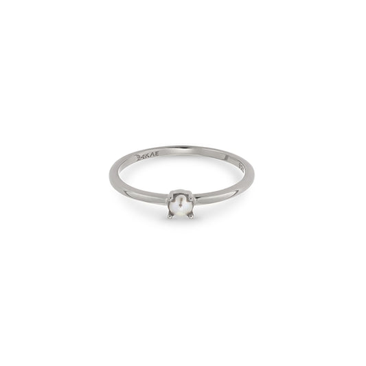 Alt Tag: Slim silver ring from 24KAE JEWELS JEWELRY Mod. 12424S/56, featuring an elegant single gem setting.