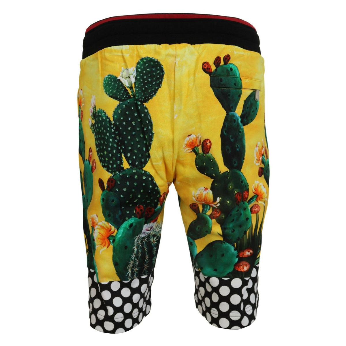 Dolce & Gabbana Multicolor Cactus Print Cotton Sweat Shorts