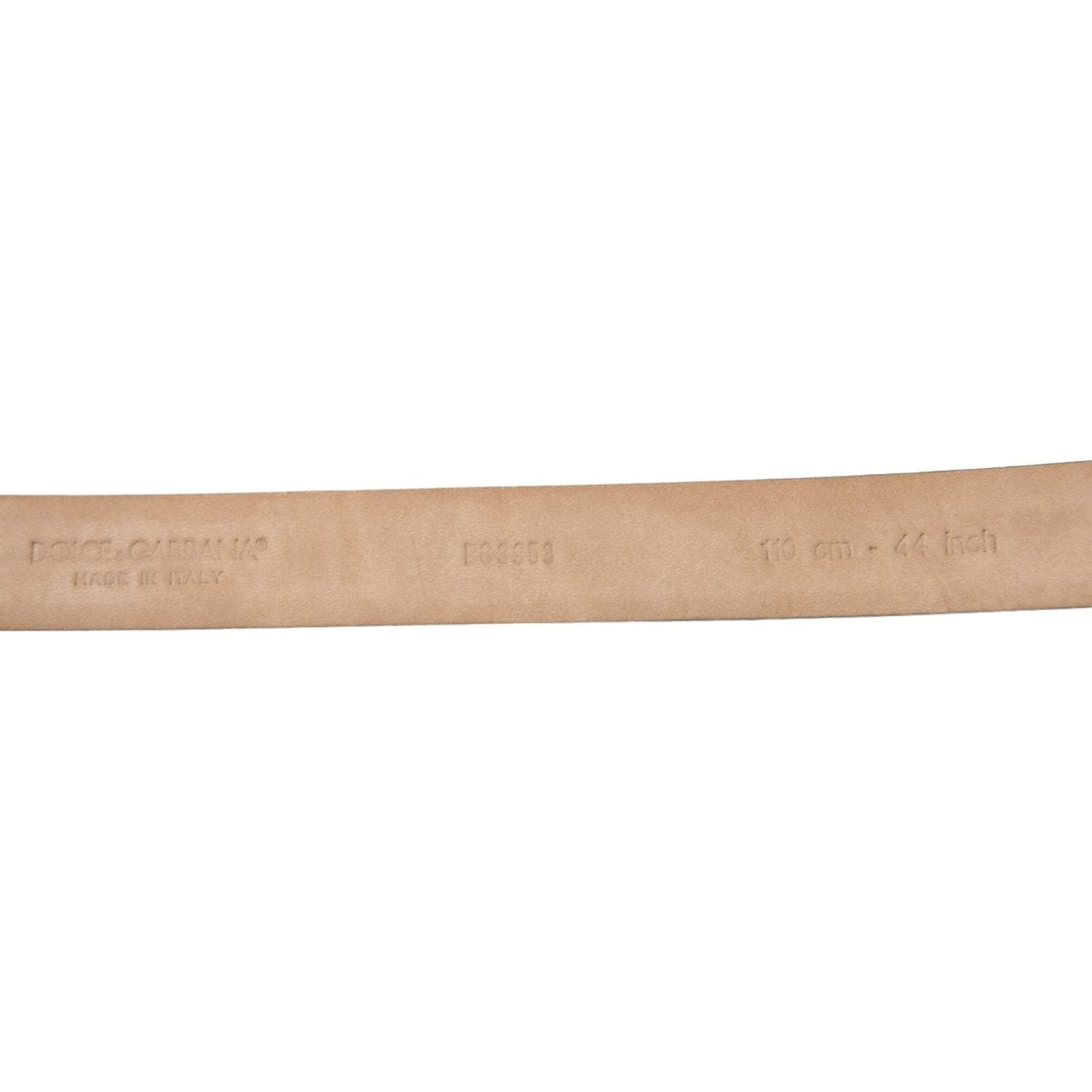 优雅皮带，配以醒目的带扣