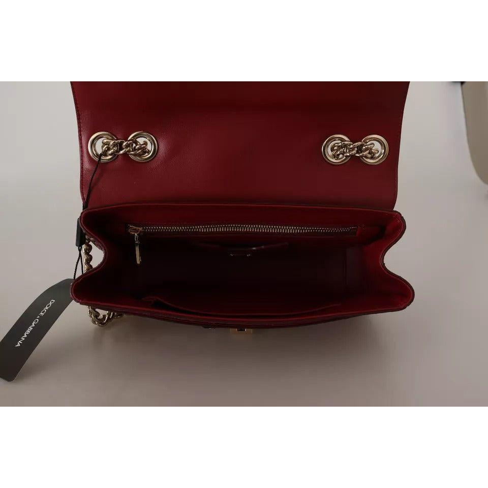 Dolce & Gabbana Pink Red Exotic Skins Gold Chain Purse LUCIA Leather Bag VAS130268