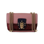 Dolce & Gabbana Pink Red Exotic Skins Gold Chain Purse LUCIA Leather Bag VAS130268