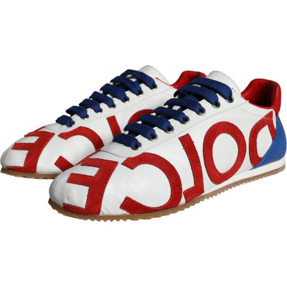 Dolce & Gabbana Multicolor Leather Logo Casual Sneakers Shoes