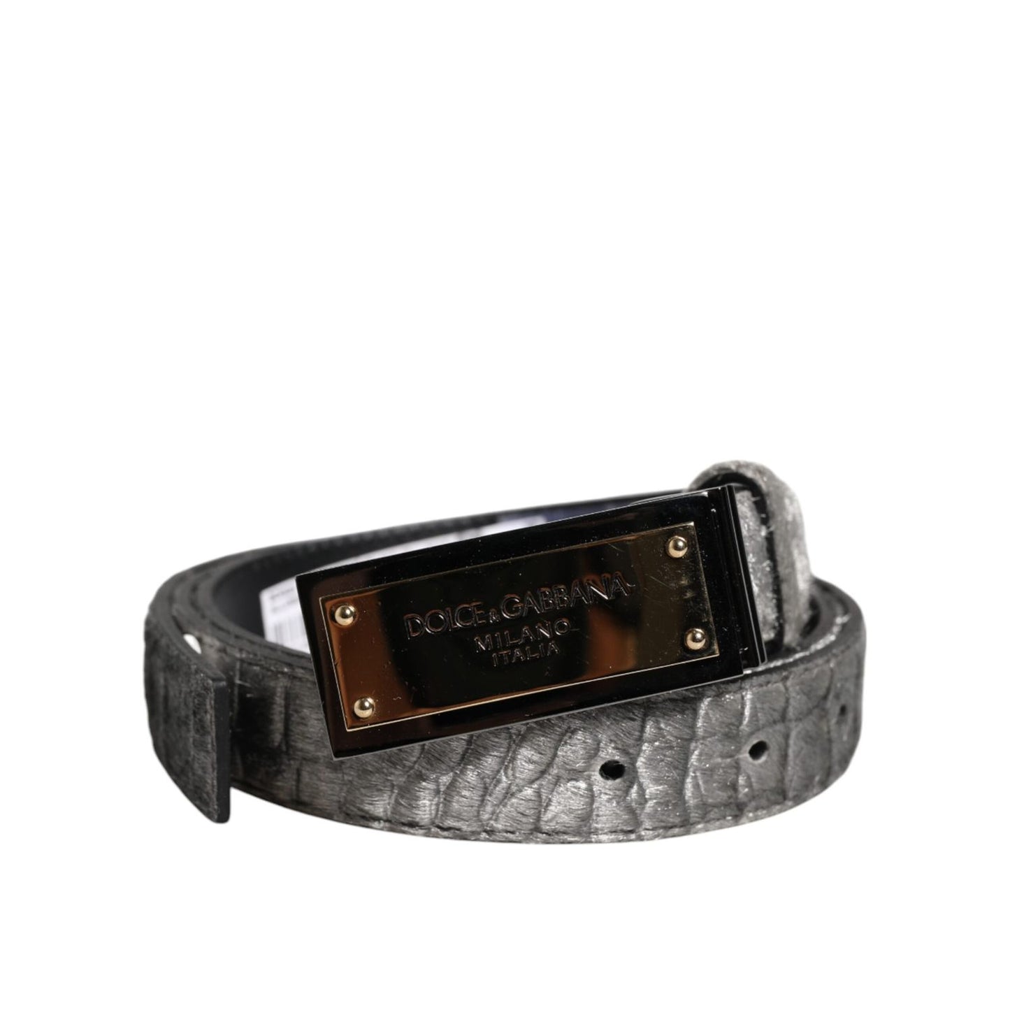 Dolce & Gabbana Silver Classic Gold Logo Plaque Buckle Belt