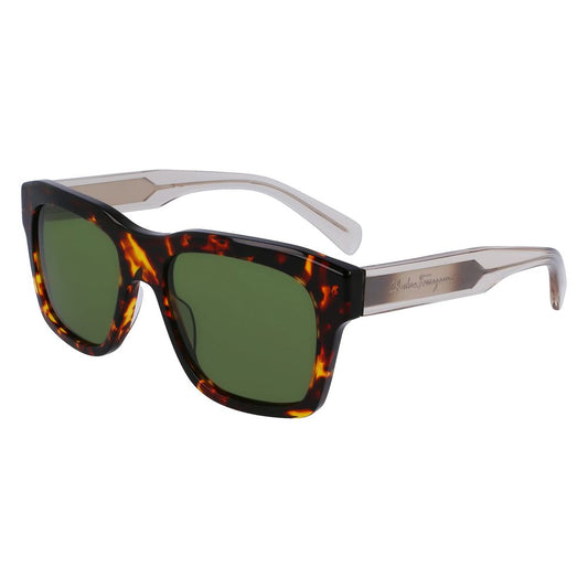 Ferragamo Brown Acetate Sunglasses
