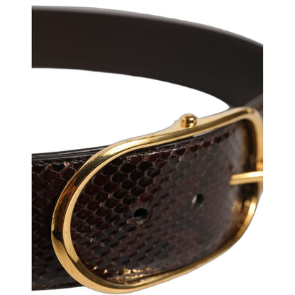 Dolce & Gabbana Brown Python Leather Gold Metal Buckle Belt