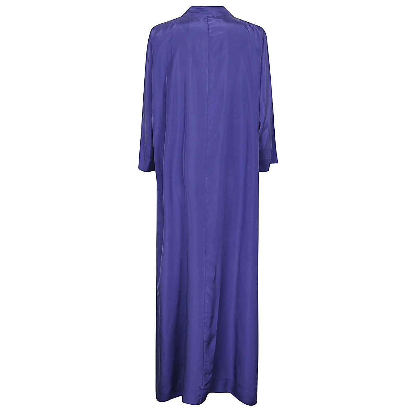 Back view of Parosh Dresses Blue in habotay silk with long sleeves and side slits.