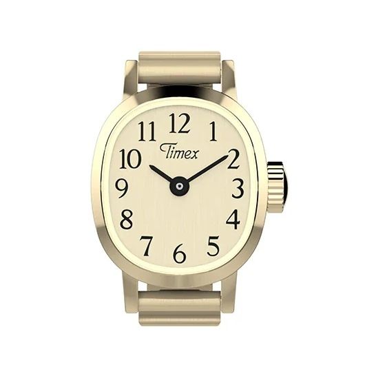 TIMEX WATCHES Mod. TW2Y70800